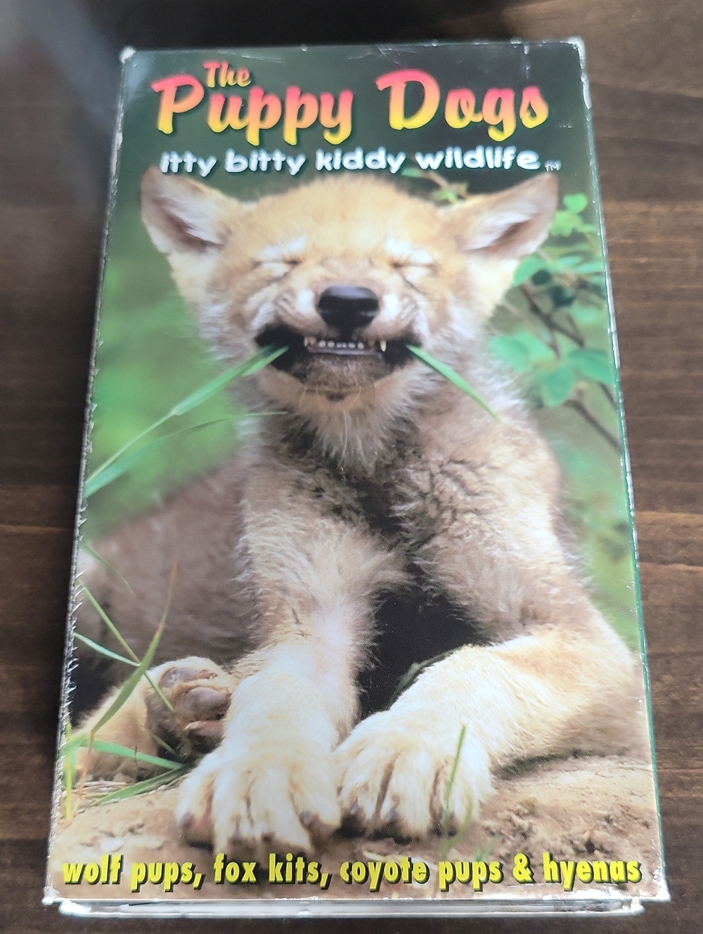 The Puppy Dogs Itty Bitty Kiddy Wildlife - VHS Video